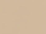 Light Brown Paint