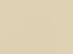 Rich Cream Paint