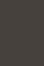 Soft Black Paint