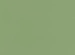 Strong Green Paint