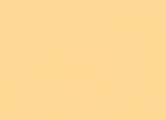 Warm Yellow Paint