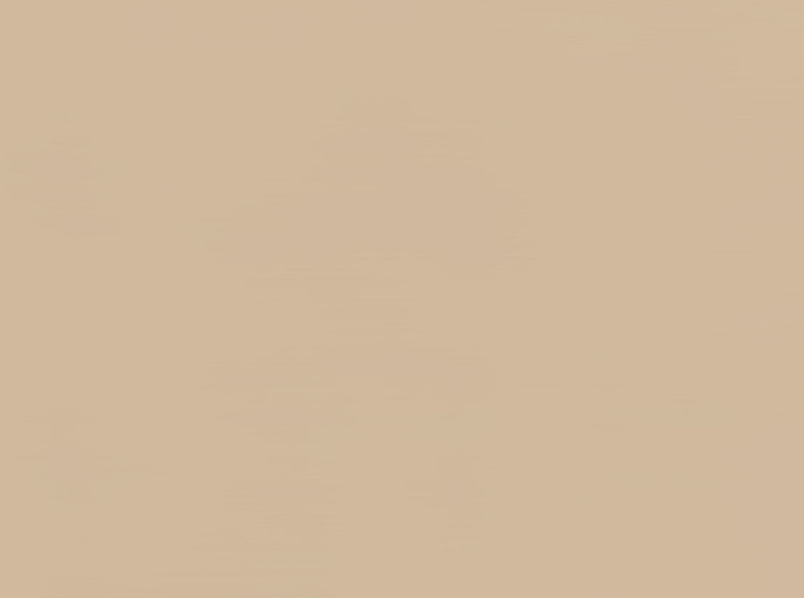 Light Brown Paint