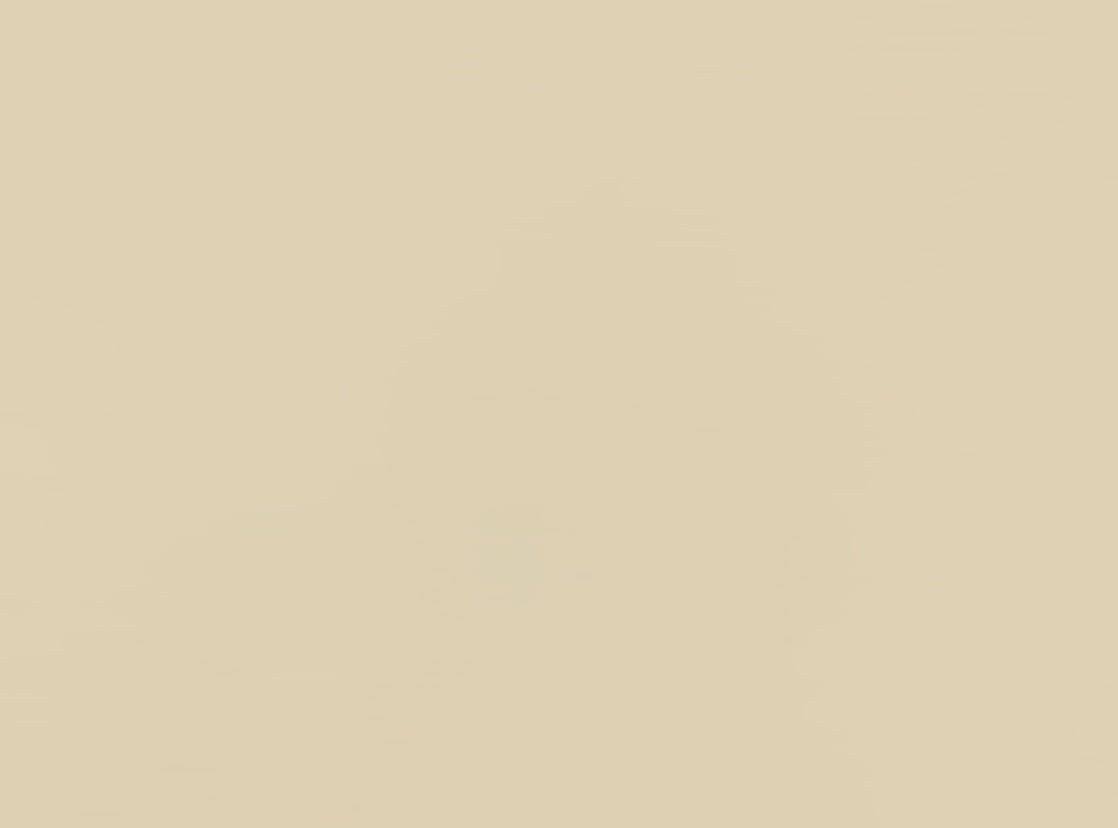 Rich Cream Paint
