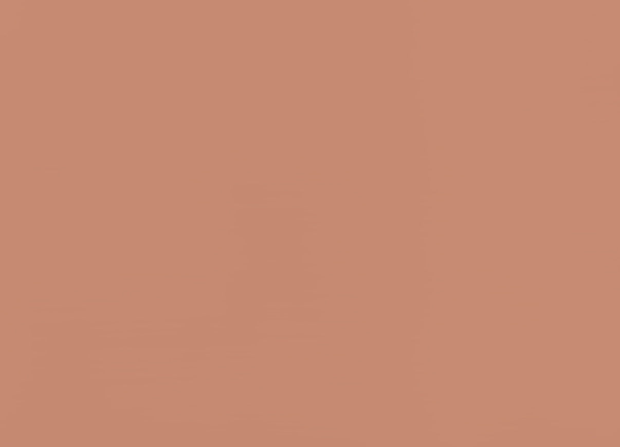 Terracotta Paint